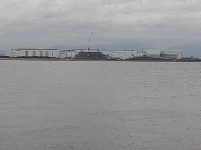 タチウオ&大鯖狙いで結局中鯖