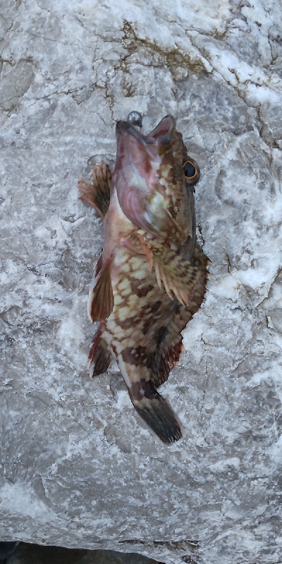 湯浅から南をランガン