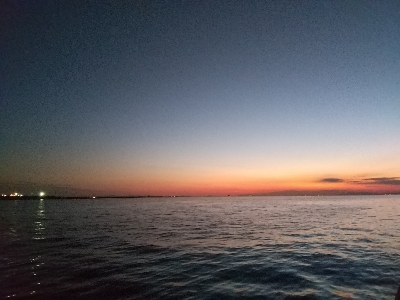 夕マヅメにメジロ