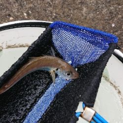 2021第1回播磨遠征