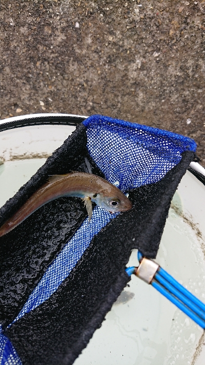 2021第1回播磨遠征