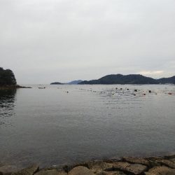 室津のキス釣り