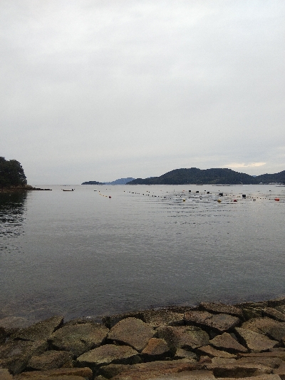 室津のキス釣り