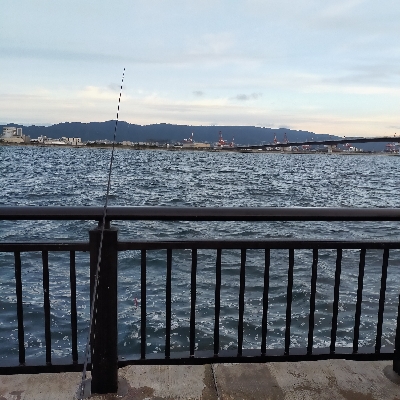 大サバ、メジロ