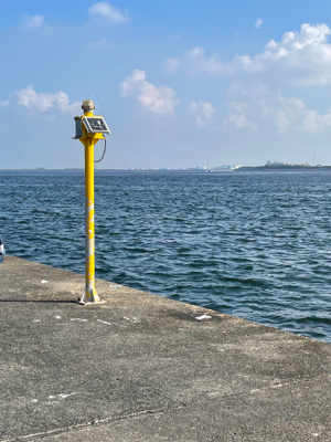 久し振りのハマチ