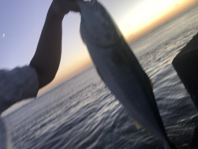 ショアジギング