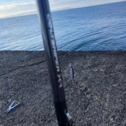 ショアジギング