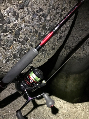 エギング練に行ったけど…