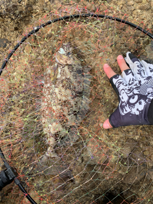 秋磯は難しい…