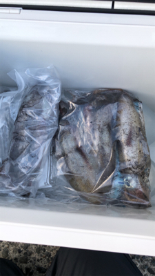 久しぶりの感触