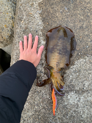 サイズ上がってきました！