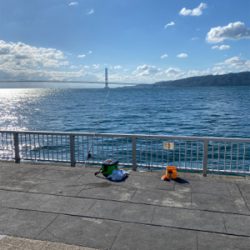 ガシラ、グレ、カワハギ