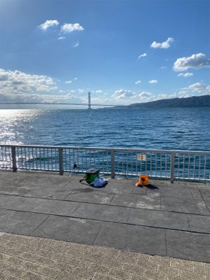 ガシラ、グレ、カワハギ