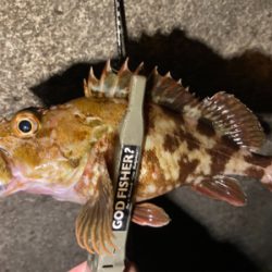 ガッシーとタッケー