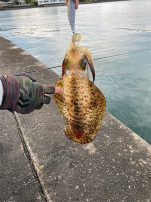 もう新子調査とは言わないぞー！