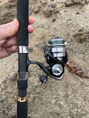 寒くなってきた