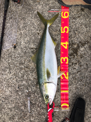 粘り勝ち(・⊝・)v