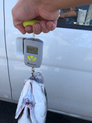 寄り道したら釣れちゃいました!