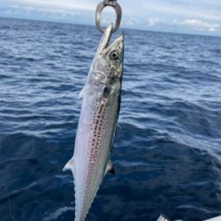 マイボート釣行