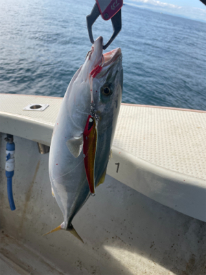 明石沖ジギング