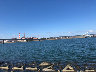 メッキが遊んでくれました。