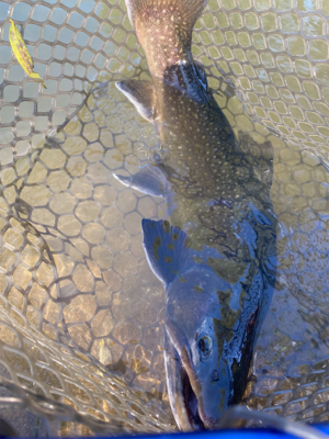 蛇尾川フィシングパーク