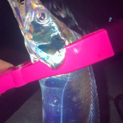 2021ライトゲーム第33戦