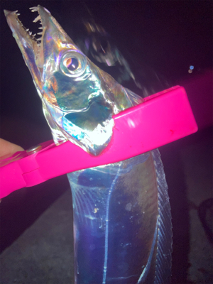 2021ライトゲーム第33戦