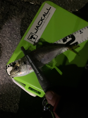 ショアジギでまさかの！