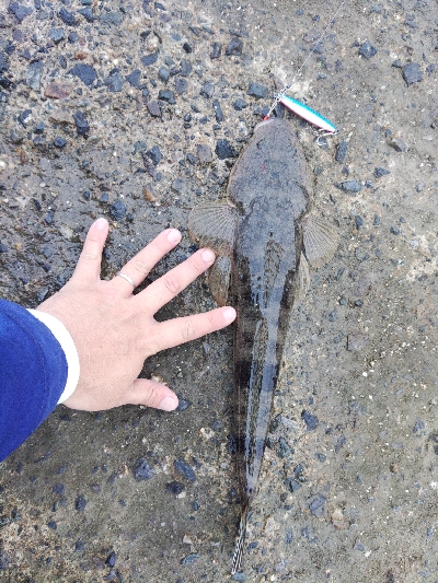 久しぶりに朝練