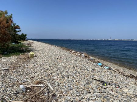 初エギング！昼間に釣り上げた。