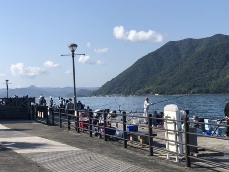 今日もサゴシを、狙いに