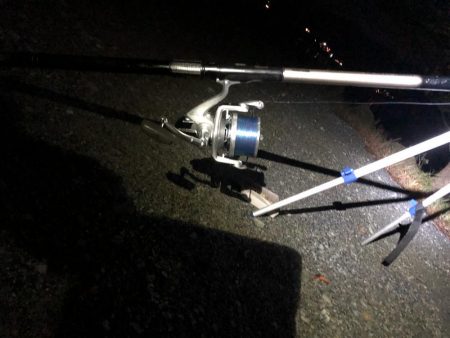 シーバスシーズン６２cm