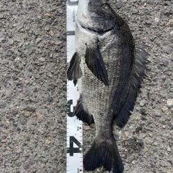 イチノ兄弟、釣果！