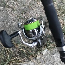 朝マズメのエギング