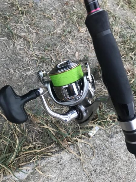 朝マズメのエギング