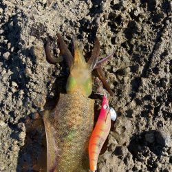 まぁまぁやな（笑）