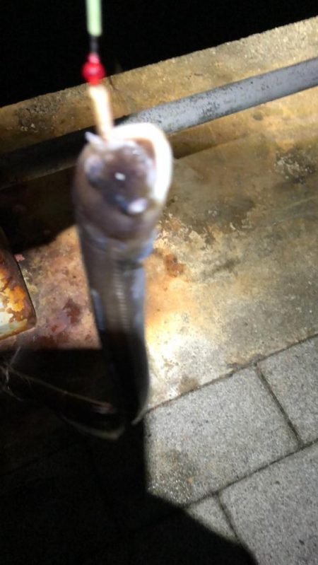 風の強い南港での釣り