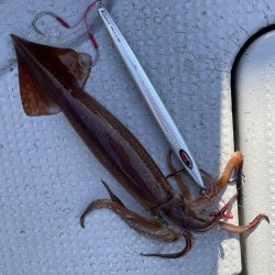 中深海スロージギング