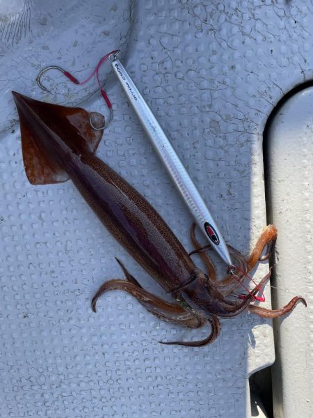 中深海スロージギング