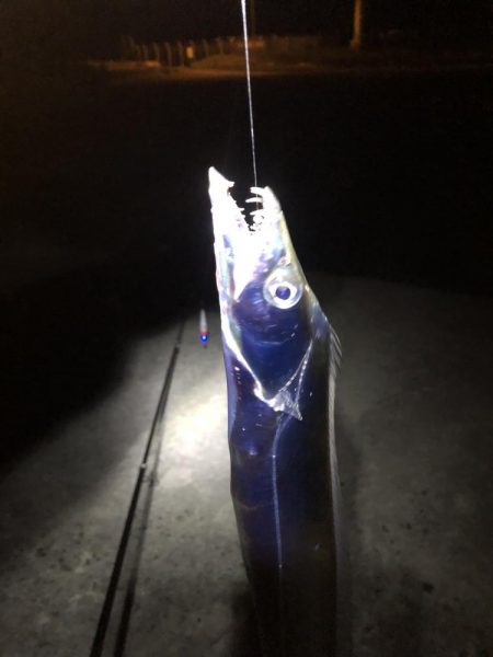 朝マズメ直前に撤退…