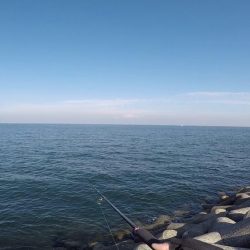 2021ライトゲーム第30戦