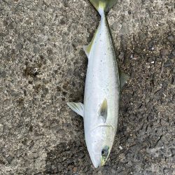 ファミリーフィッシング