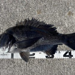 イチノ兄弟、釣果！