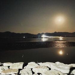 自己記録更新だが鯉