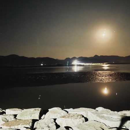 自己記録更新だが鯉