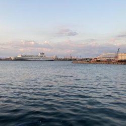 ファミリーフィッシング