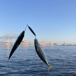 超鯖無限城。そしてアカエイ。。