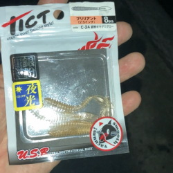 待望のアジ❗️