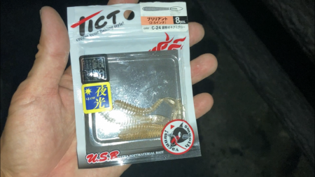 待望のアジ❗️